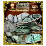 �¡�����